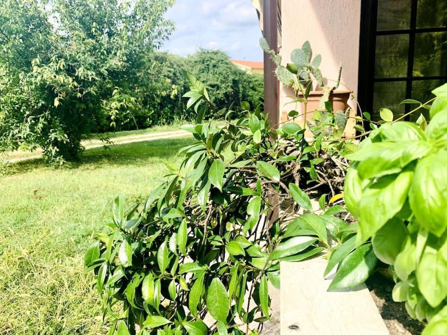 Raffinatezza Rustica Nella Campagna Veneziana Apartment Canton  Exterior photo